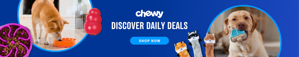 Style for Every Dog Lover